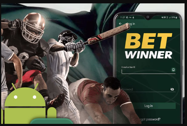 BetWinner Sports Betting And Casino Site In Bangladesh