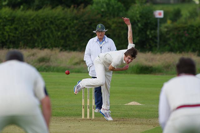 cricket 2